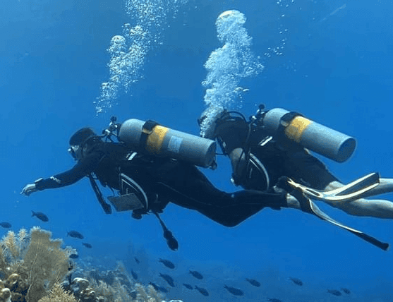 Roatan scuba diving resort