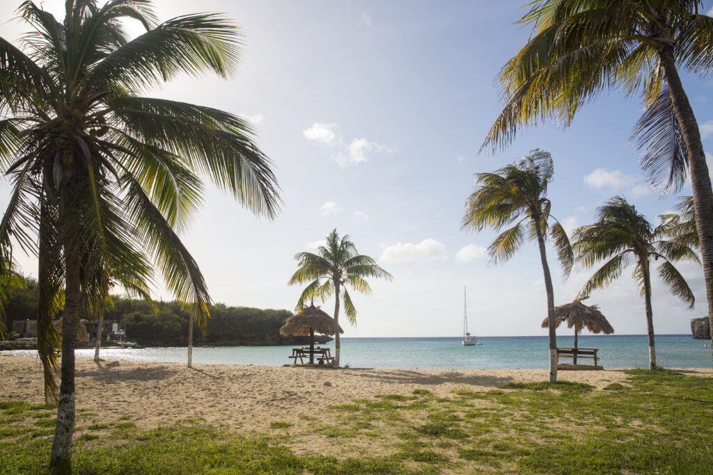 Group trip to Roatan
