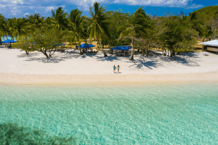 Arca Roatán boutique hotel branding illustration inspired by Caribbean nature and West Bay Beach in Roatán, Honduras.